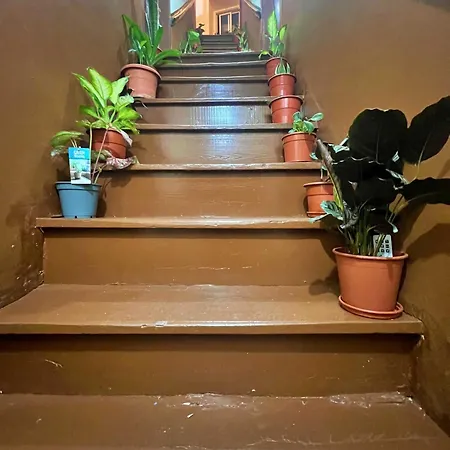 מלון דירות Sulemange ליסבון